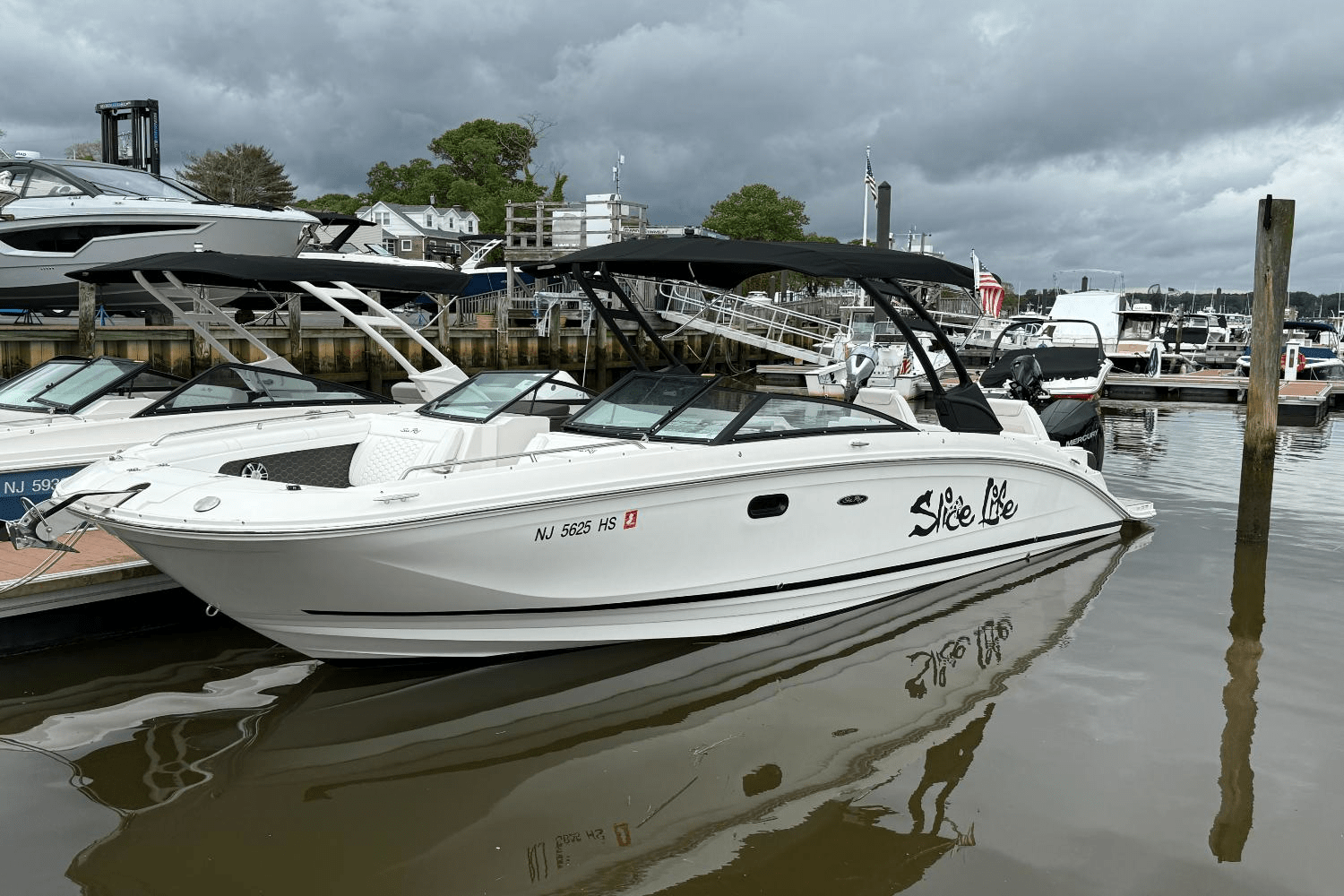 2024 Sea Ray 290 SDX OB Image Thumbnail #1