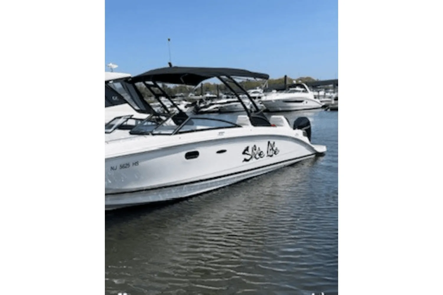 2024 Sea Ray 290 SDX OB Image Thumbnail #26
