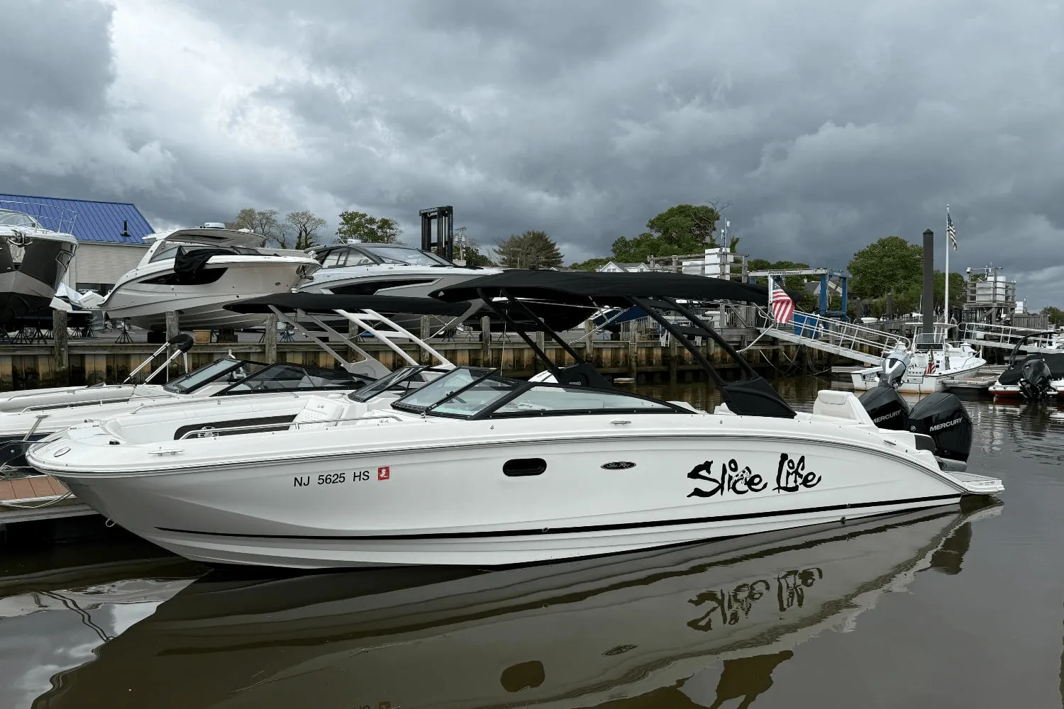2024 Sea Ray 290 SDX OB Image Thumbnail #0