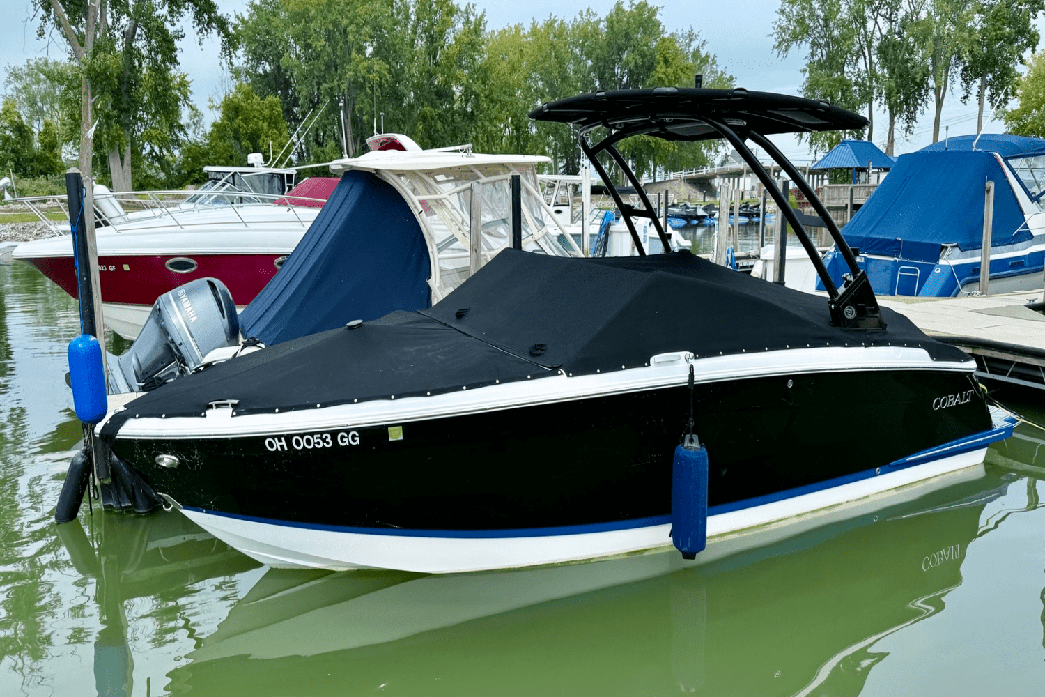 2021 Cobalt R6 Image Thumbnail #18