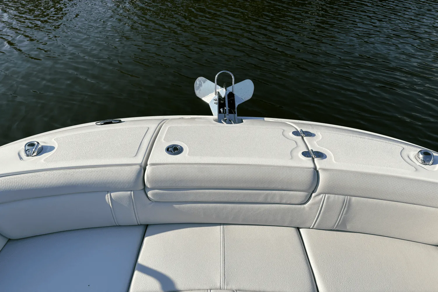 2023 Sea Ray 290 SDX OB Image Thumbnail #11