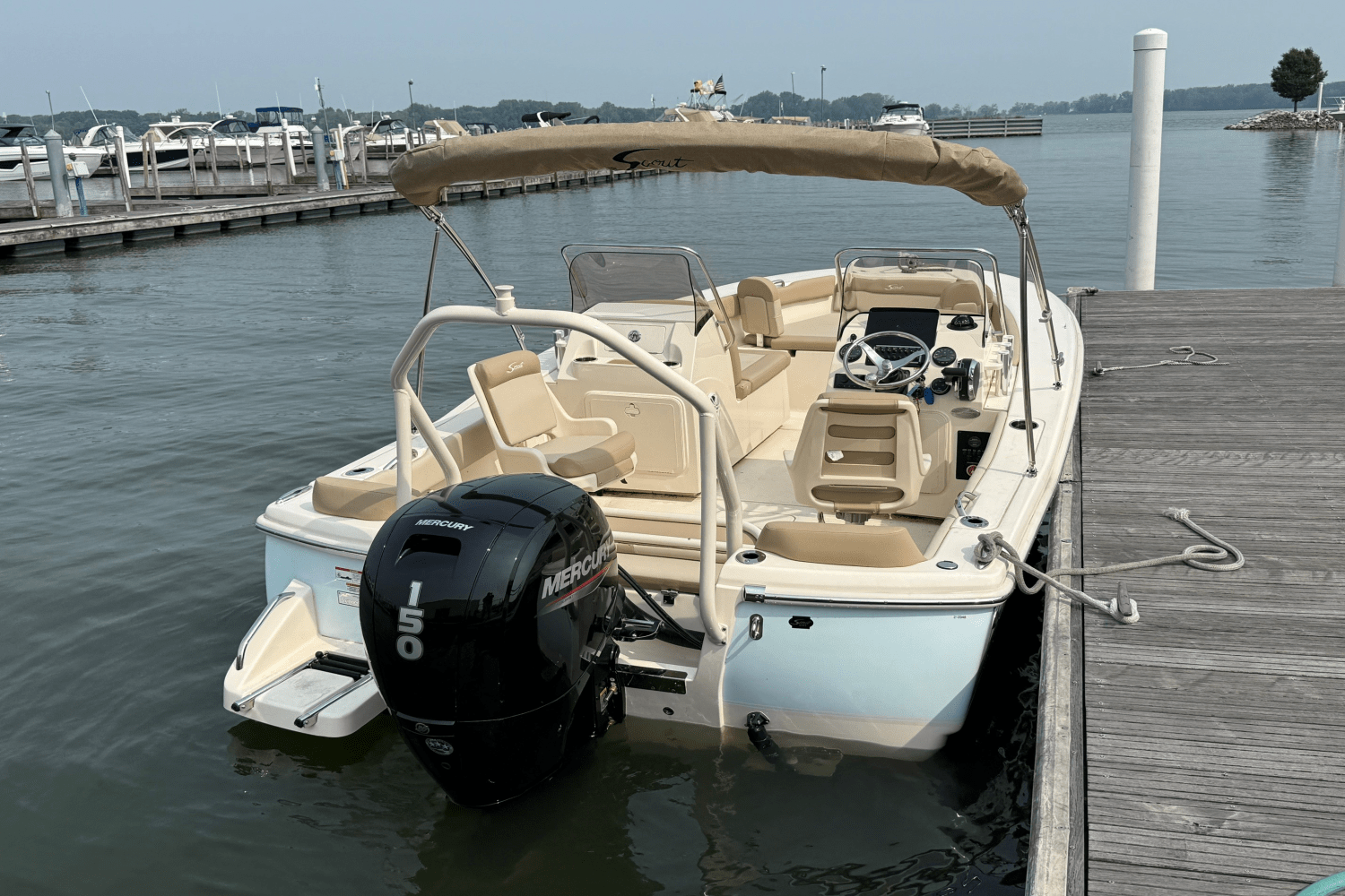 2025 Scout 195 Sport Dorado Image Thumbnail #6