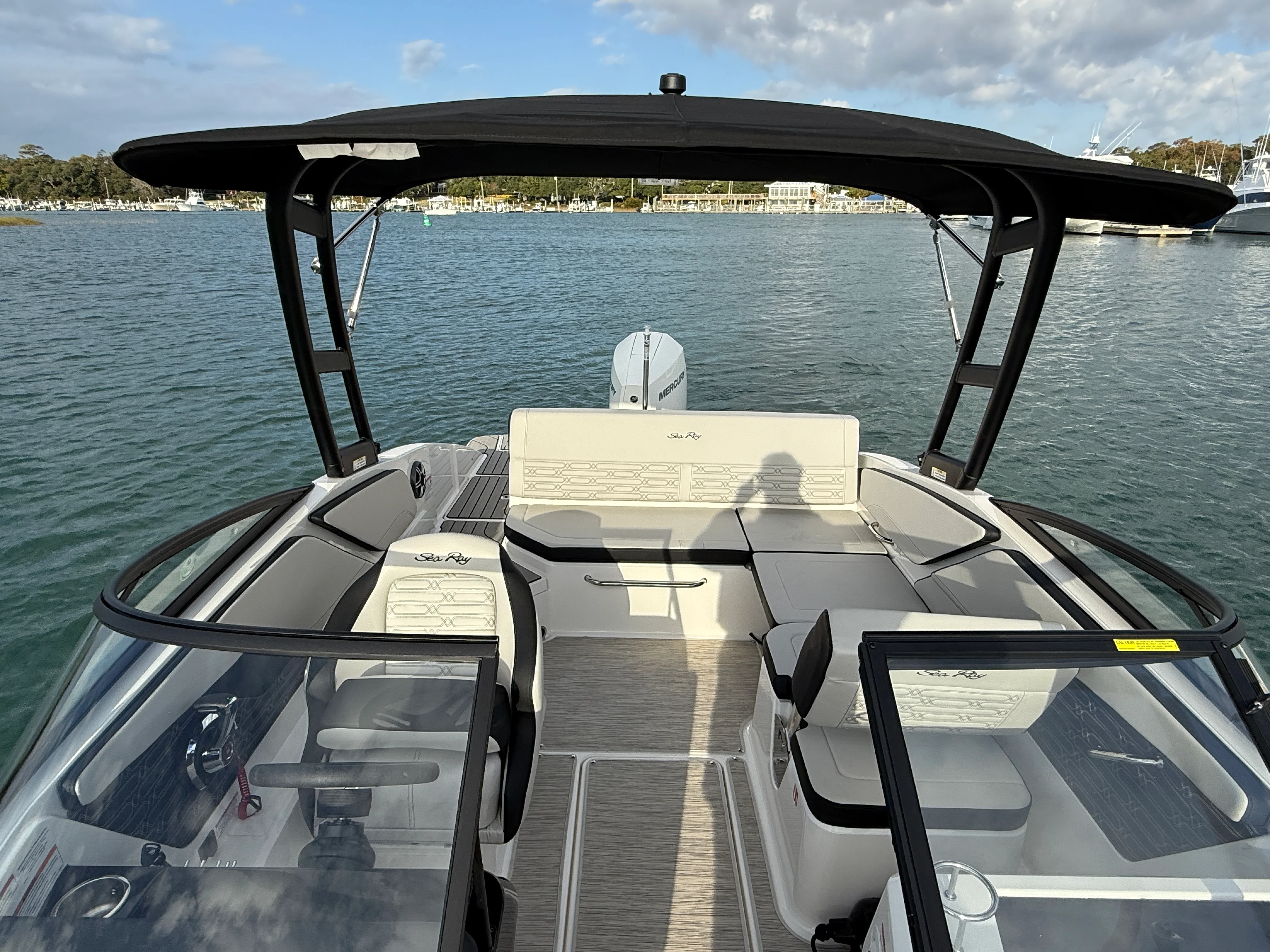 2026 Sea Ray SPX 210 Outboard Image Thumbnail #11