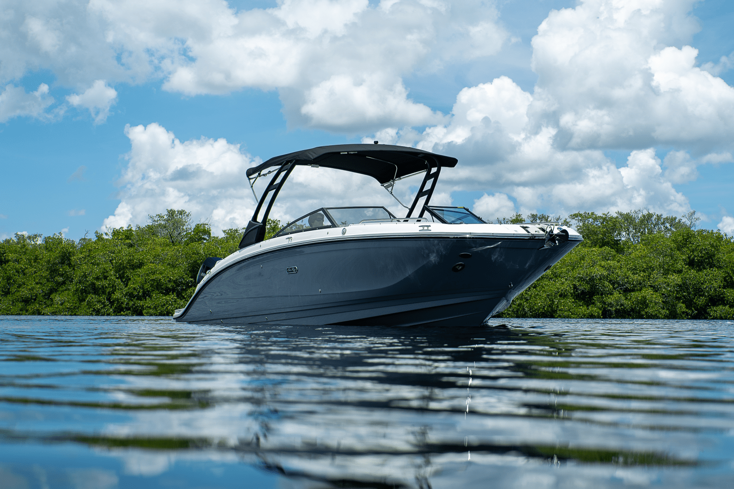2026 Sea Ray SDX 290 Outboard Image Thumbnail #38