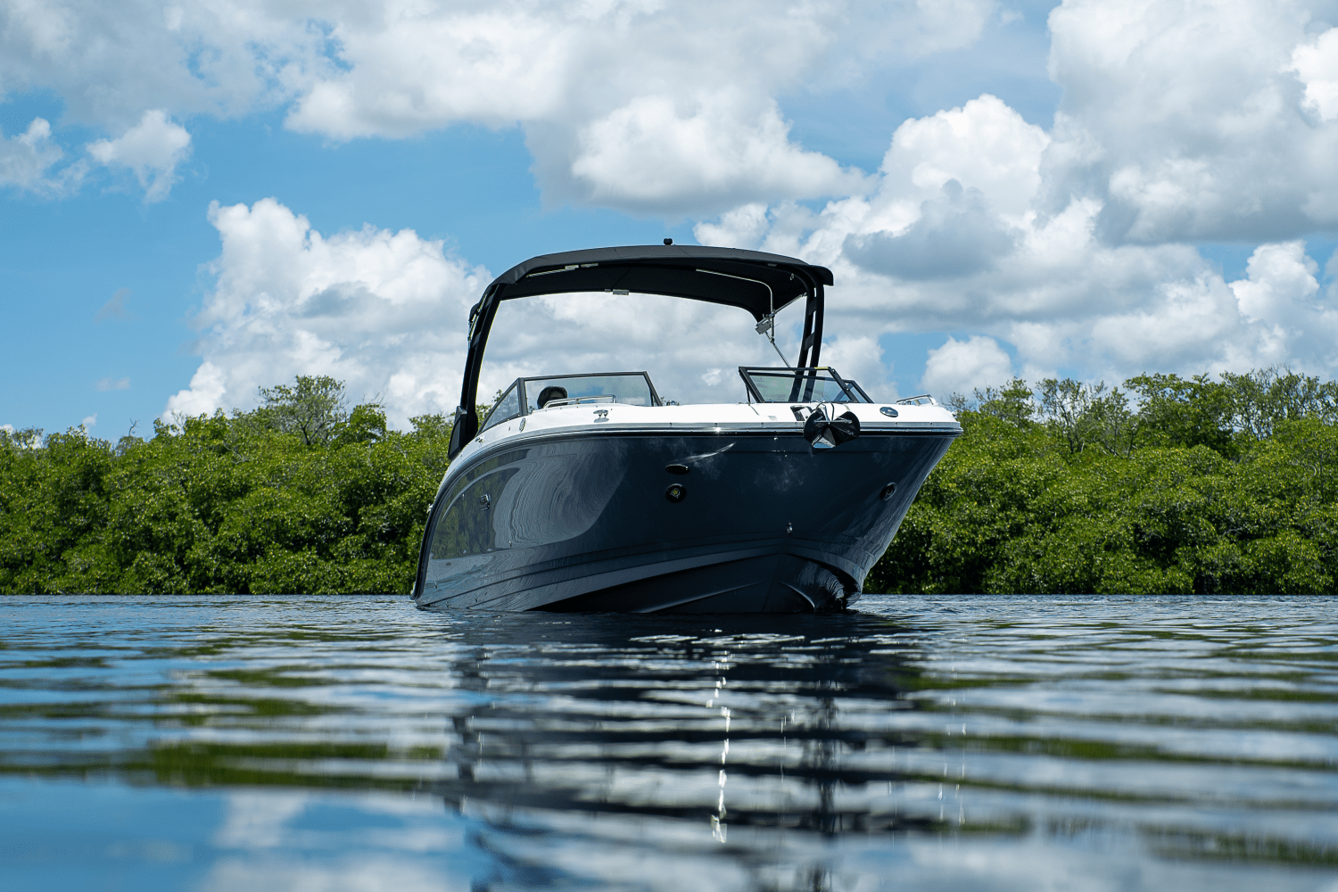2026 Sea Ray SDX 290 Outboard Image Thumbnail #37