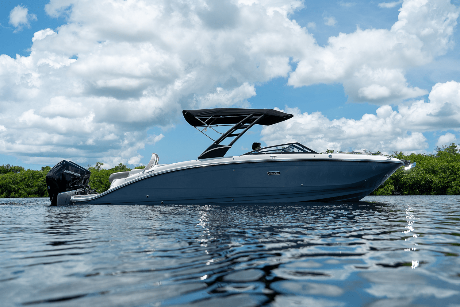 2026 Sea Ray SDX 290 Outboard Image Thumbnail #25