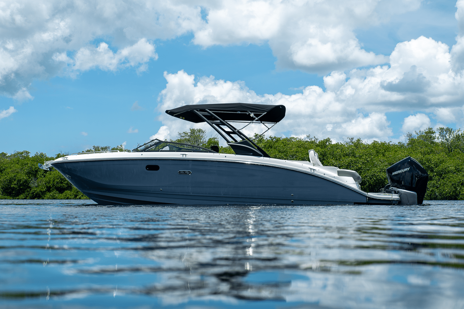 2026 Sea Ray SDX 290 Outboard Image Thumbnail #3