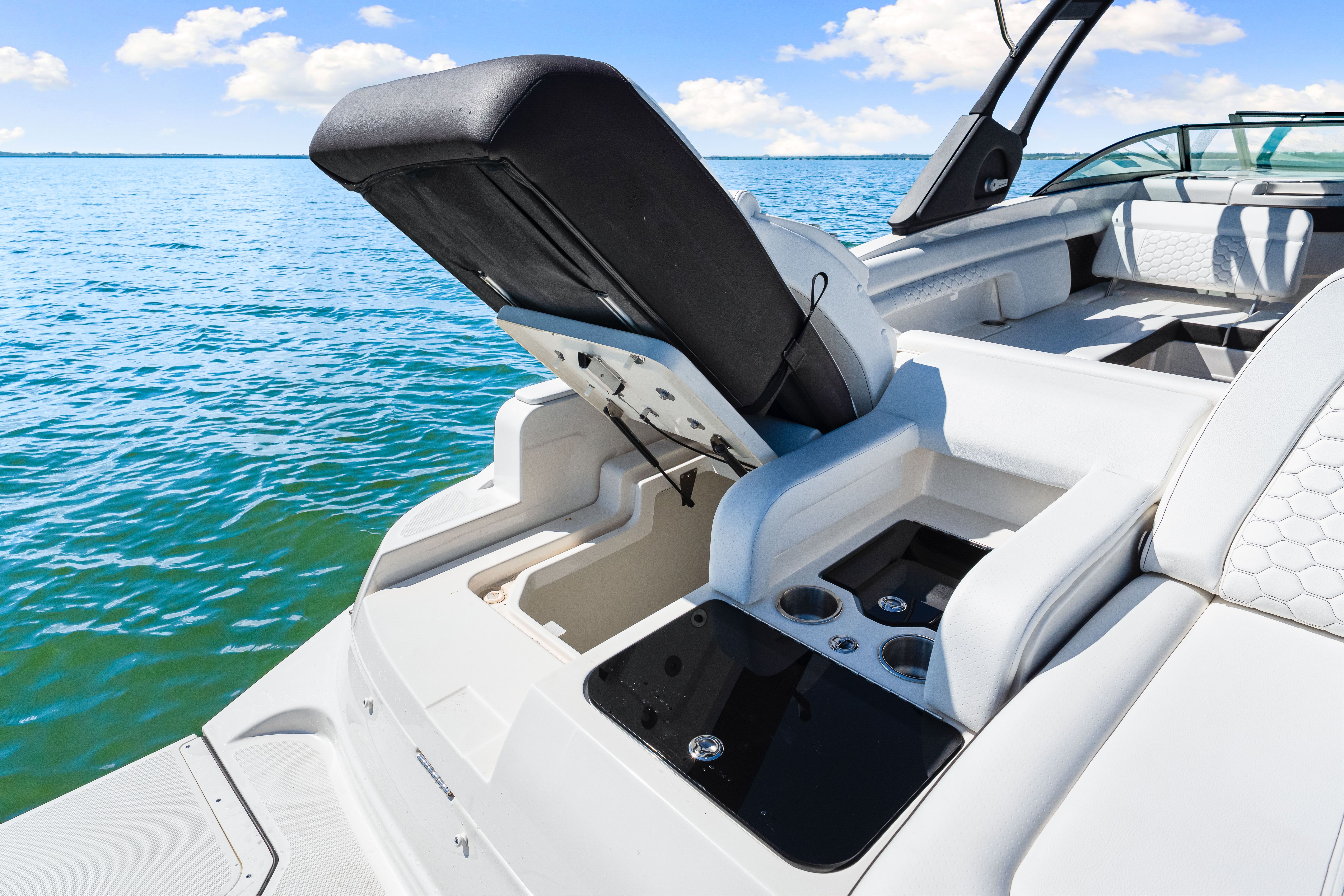 2025 Sea Ray SDX 290 Outboard Image Thumbnail #25