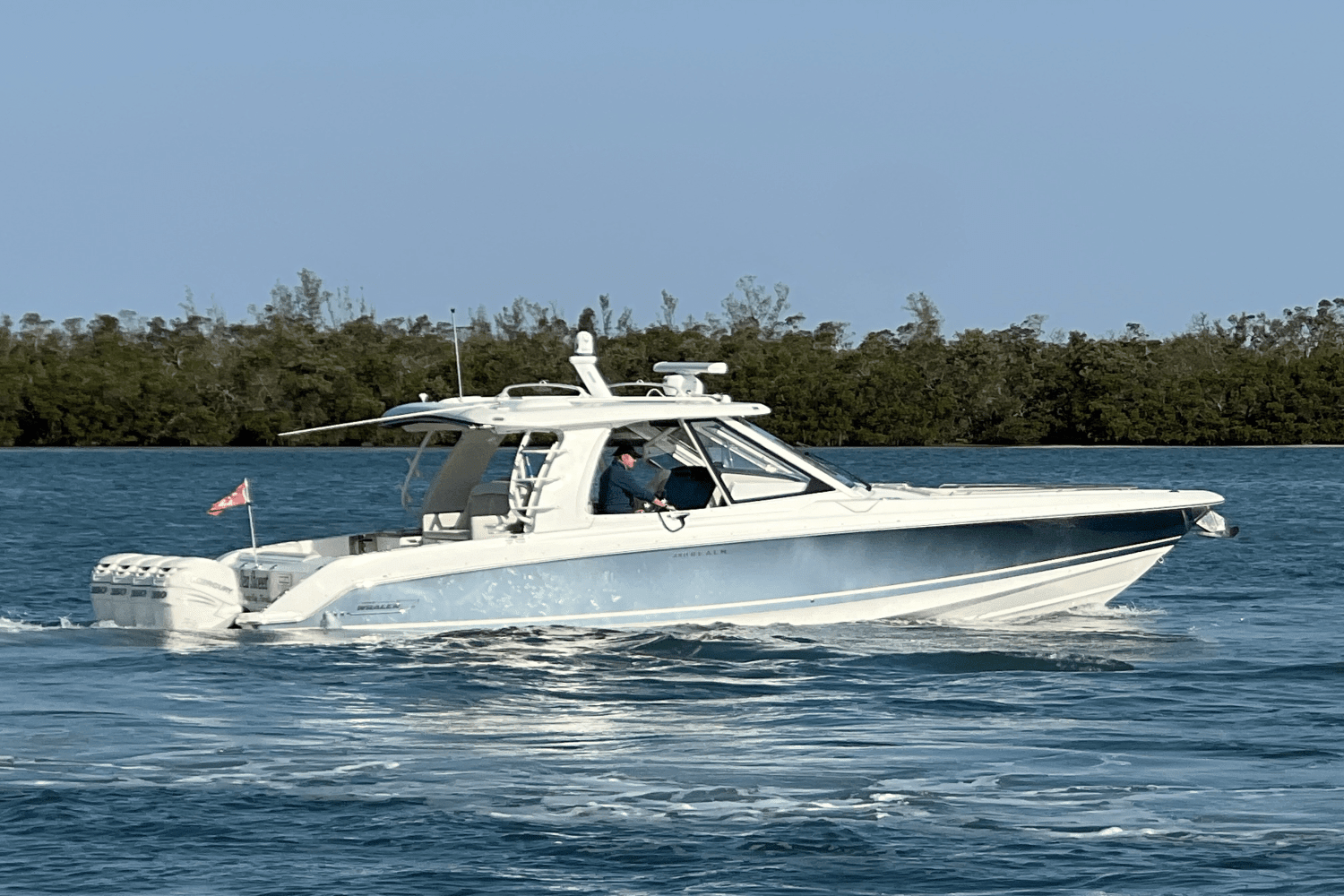 2020 Boston Whaler 380 REALM Image Thumbnail #28