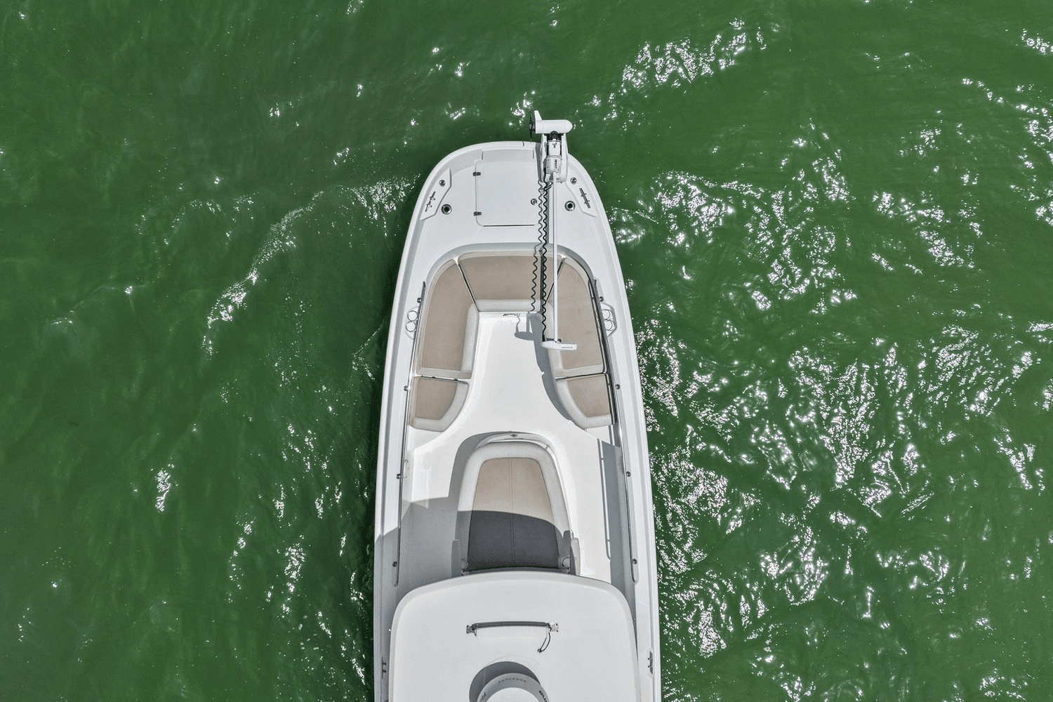 2020 Boston Whaler 270 DAUNTLESS Image Thumbnail #7