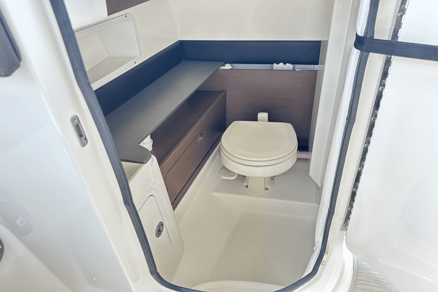 2021 Sea Ray SDX 290 Outboard Image Thumbnail #19