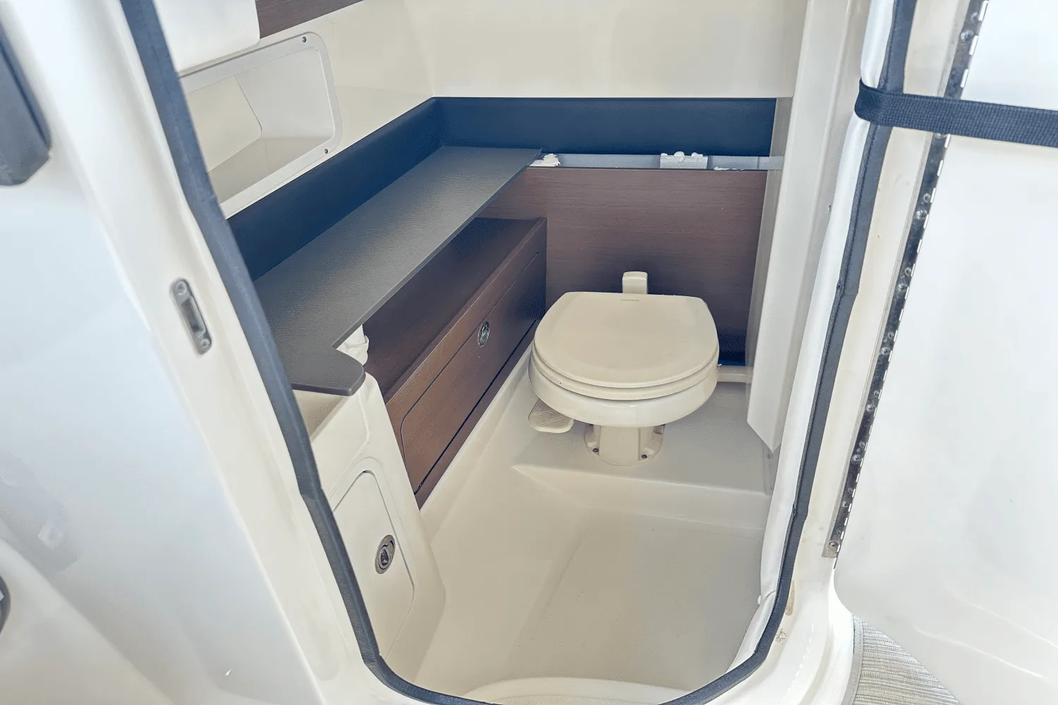 2021 Sea Ray SDX 290 Outboard Image Thumbnail #19
