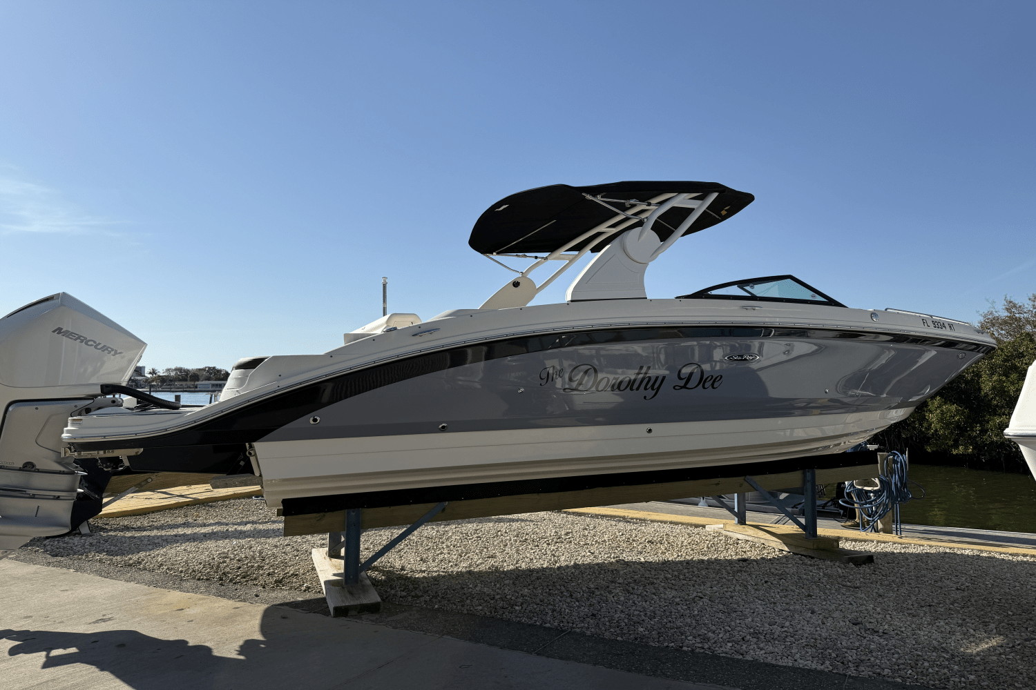 2019 Sea Ray SDX 270 OUTBOARD Image Thumbnail #8
