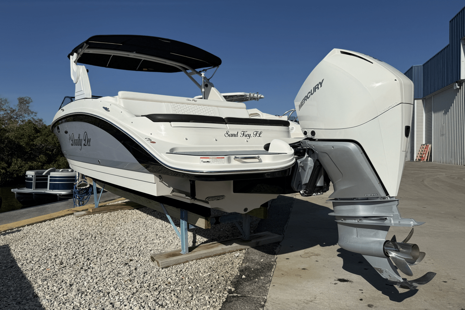 2019 Sea Ray SDX 270 OUTBOARD Image Thumbnail #3
