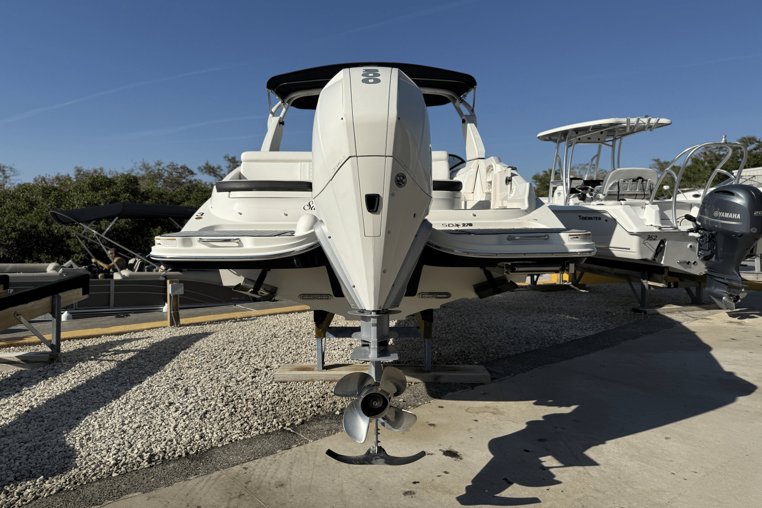 2019 Sea Ray SDX 270 OUTBOARD Image Thumbnail #4