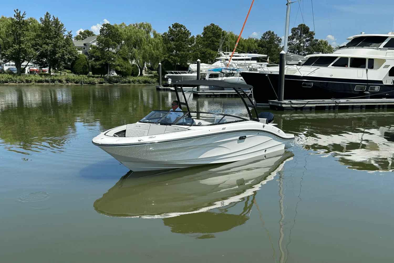 2026 Sea Ray SPX 210 Outboard Image Thumbnail #6