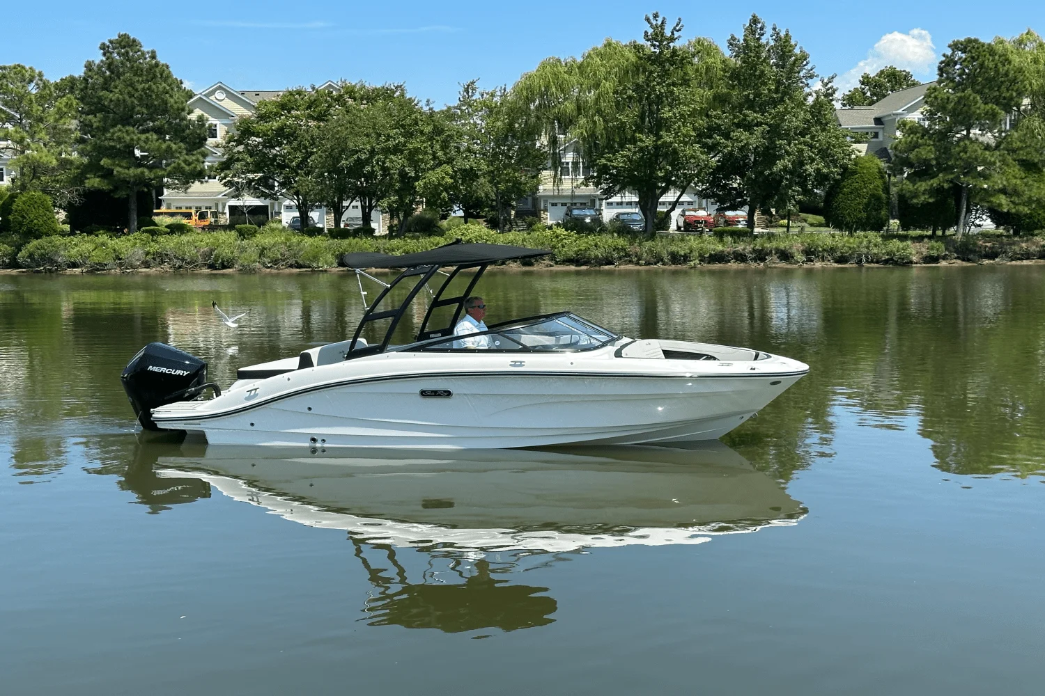 2026 Sea Ray SPX 210 Outboard Image Thumbnail #0