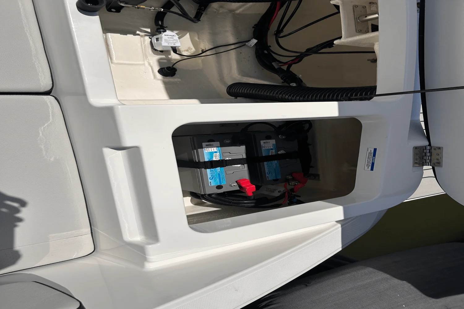 2026 Sea Ray SPX 210 Outboard Image Thumbnail #10