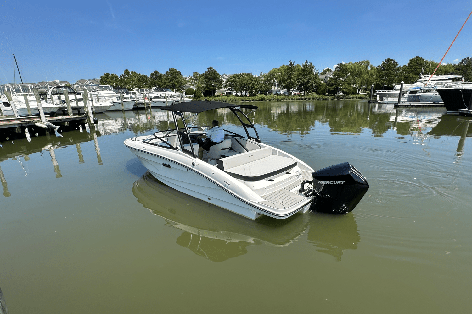 2026 Sea Ray SPX 210 Outboard Image Thumbnail #4