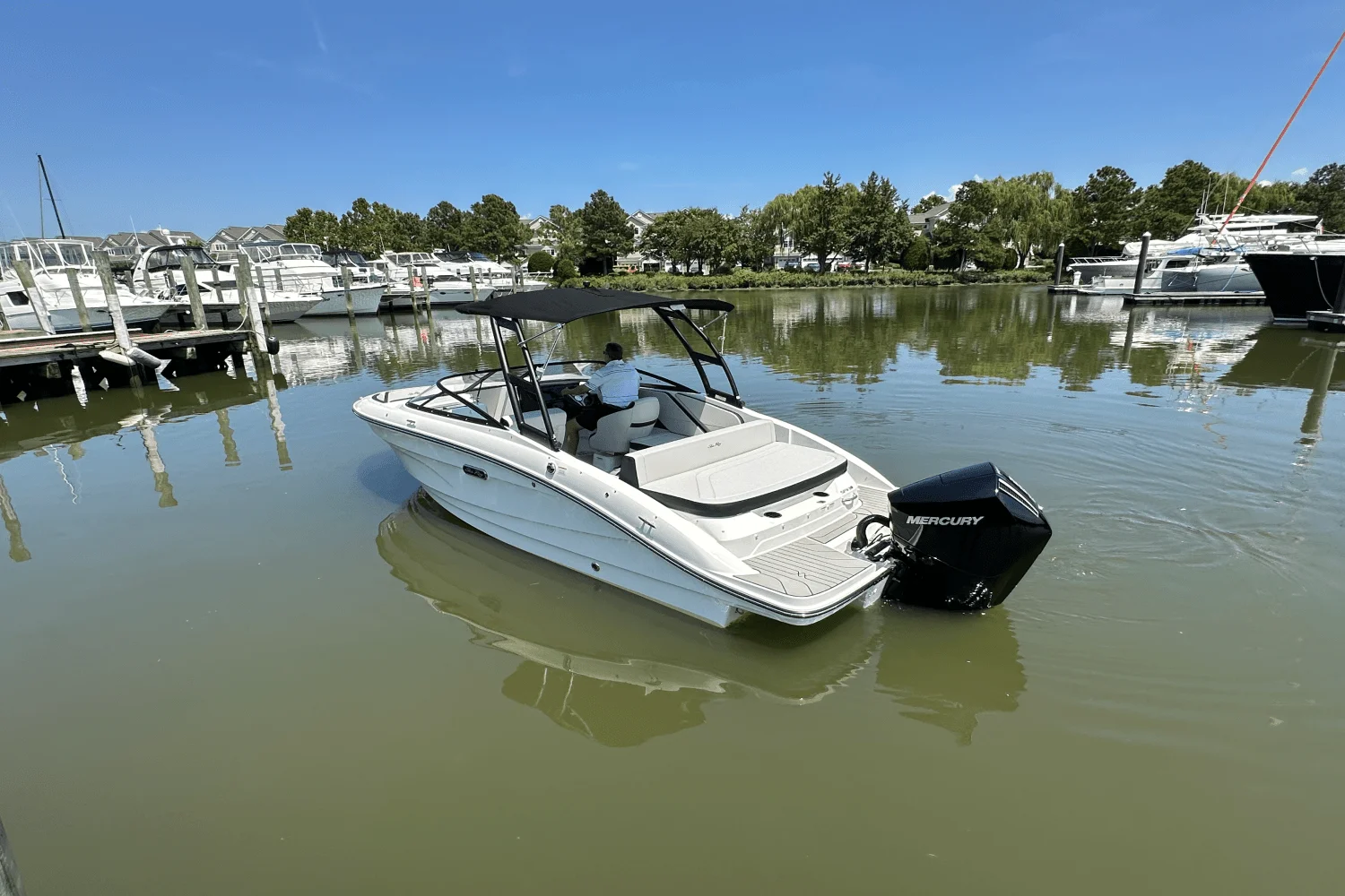 2026 Sea Ray SPX 210 Outboard Image Thumbnail #4