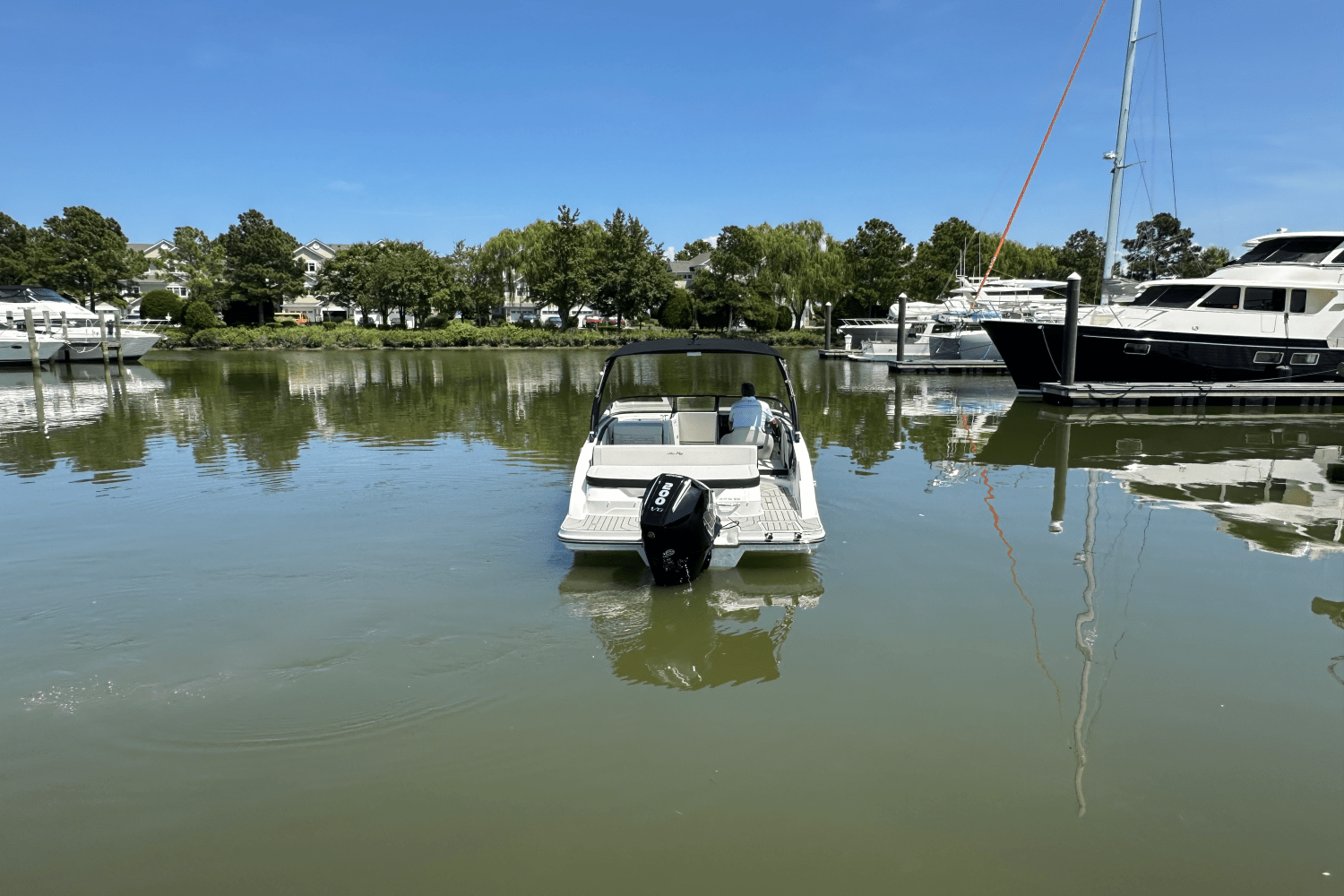 2026 Sea Ray SPX 210 Outboard Image Thumbnail #3