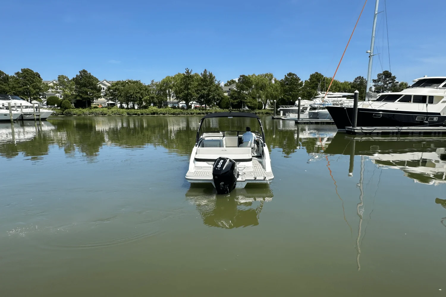 2026 Sea Ray SPX 210 Outboard Image Thumbnail #3