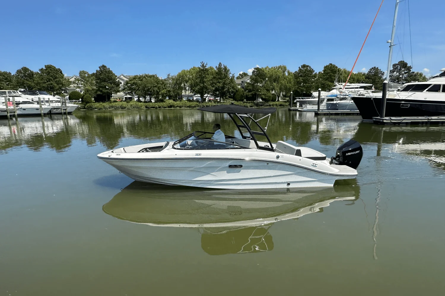 2026 Sea Ray SPX 210 Outboard Image Thumbnail #5