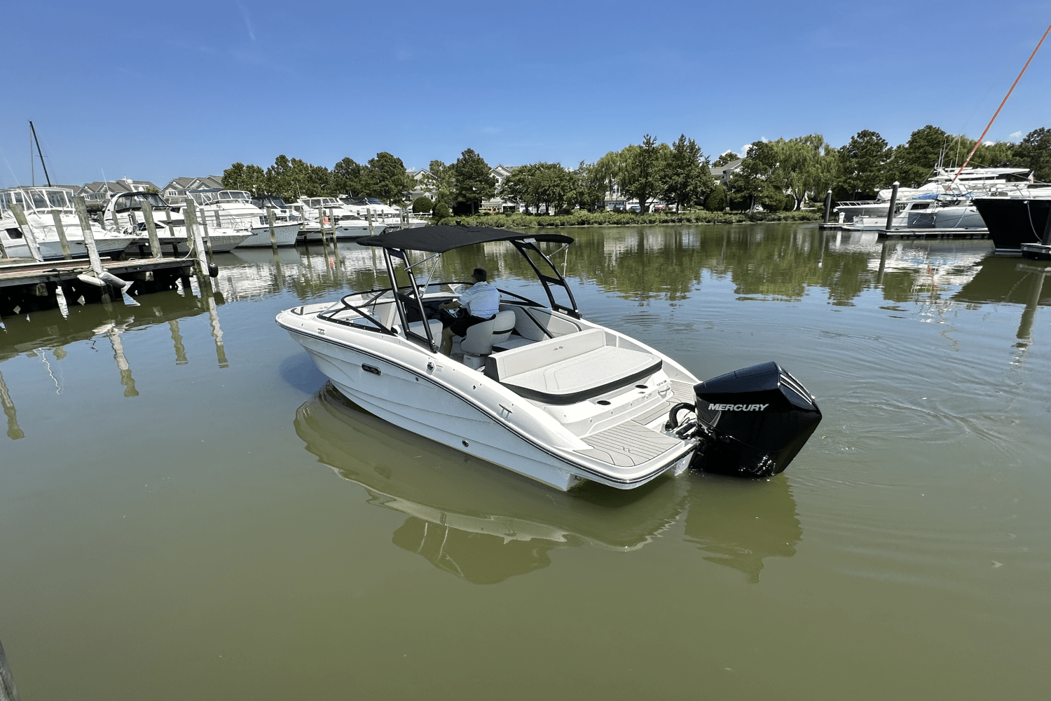 2026 Sea Ray SPX 210 Outboard Image Thumbnail #4