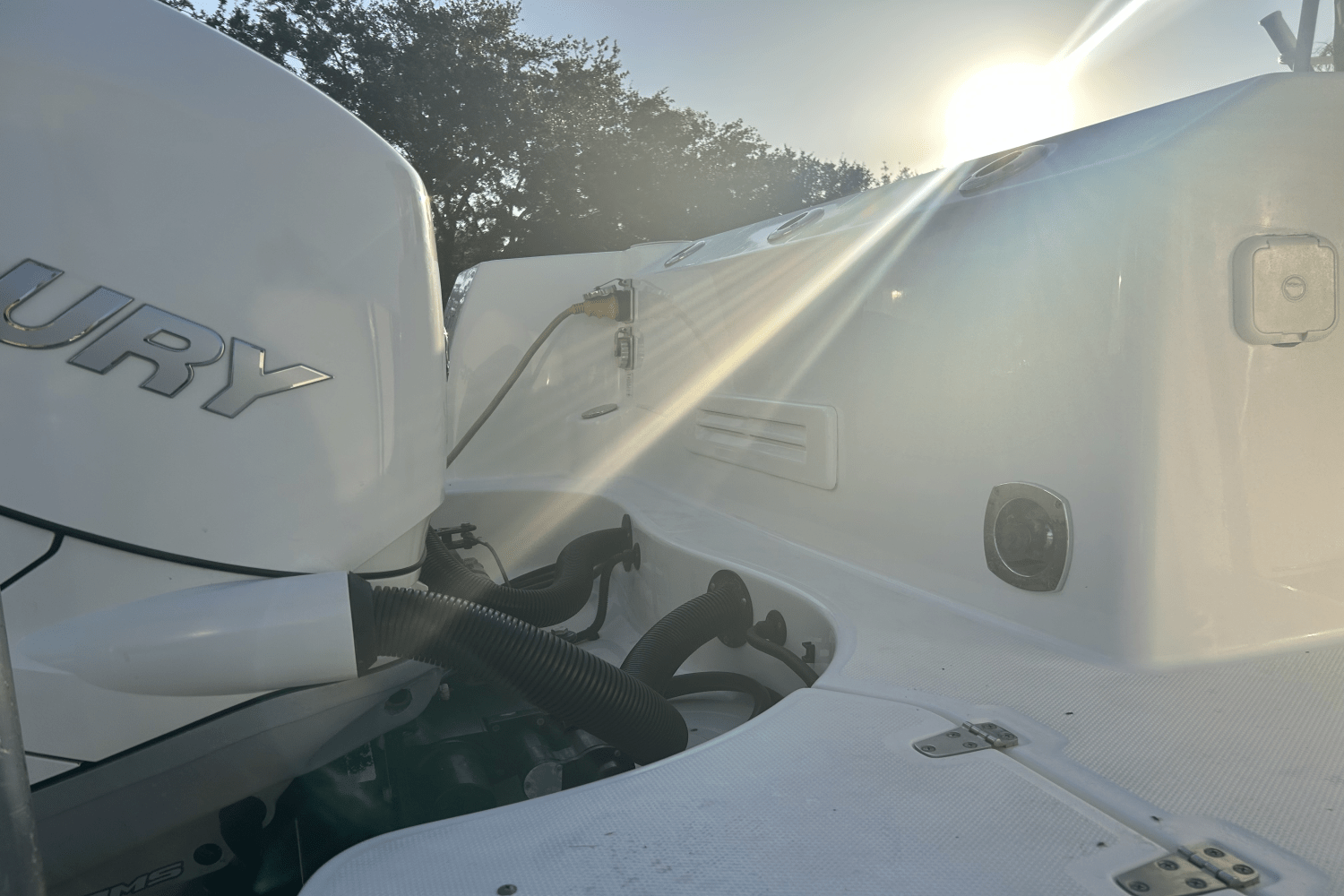 2017 Boston Whaler 315 CQ Image Thumbnail #45