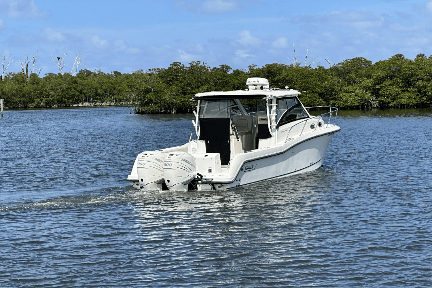 2015 Boston Whaler 315 CONQUEST Image Thumbnail #6