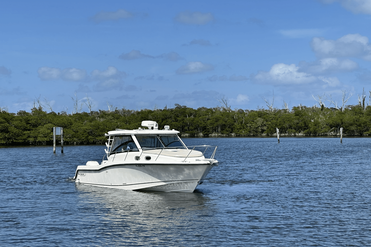 2015 Boston Whaler 315 CONQUEST Image Thumbnail #3