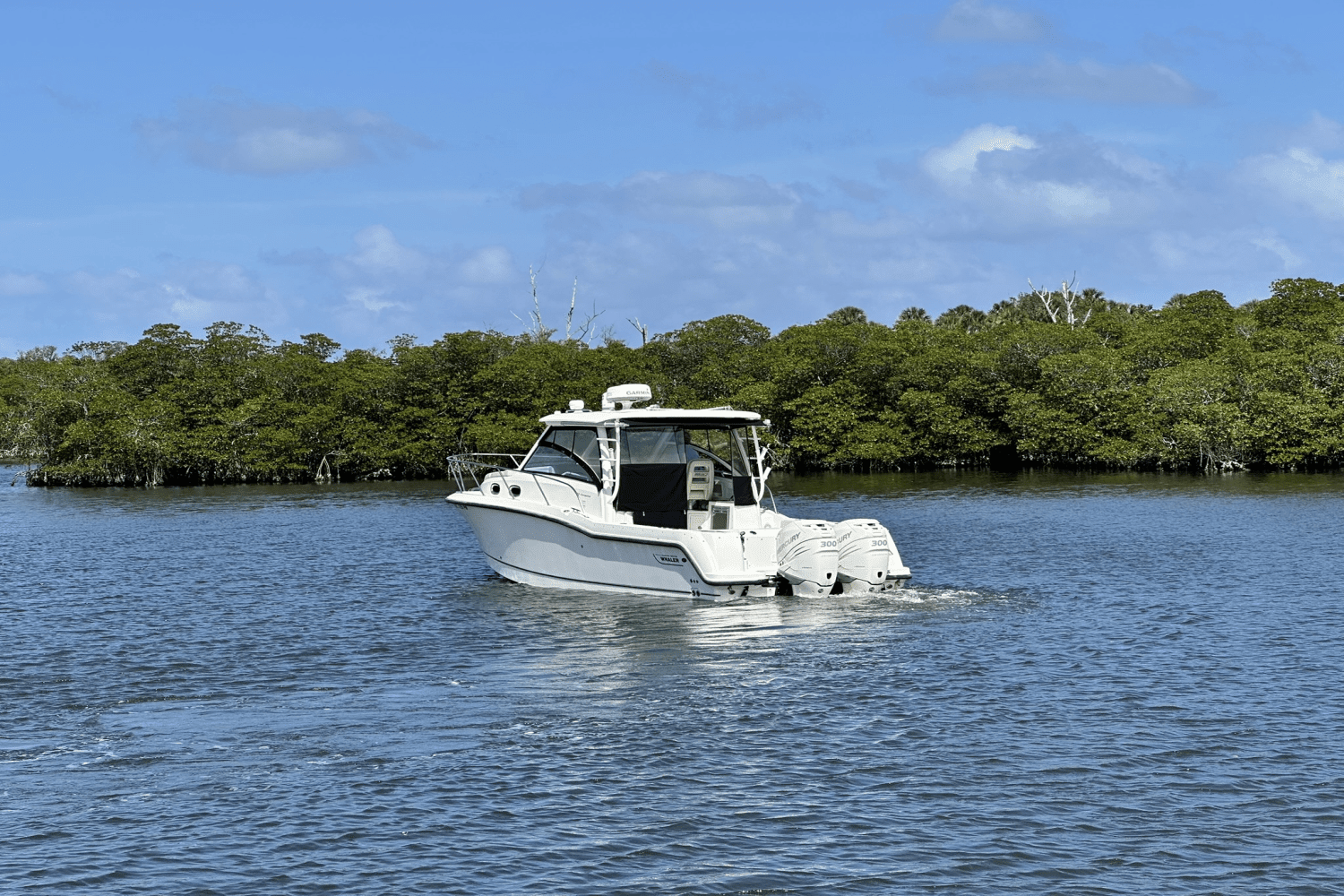 2015 Boston Whaler 315 CONQUEST Image Thumbnail #8