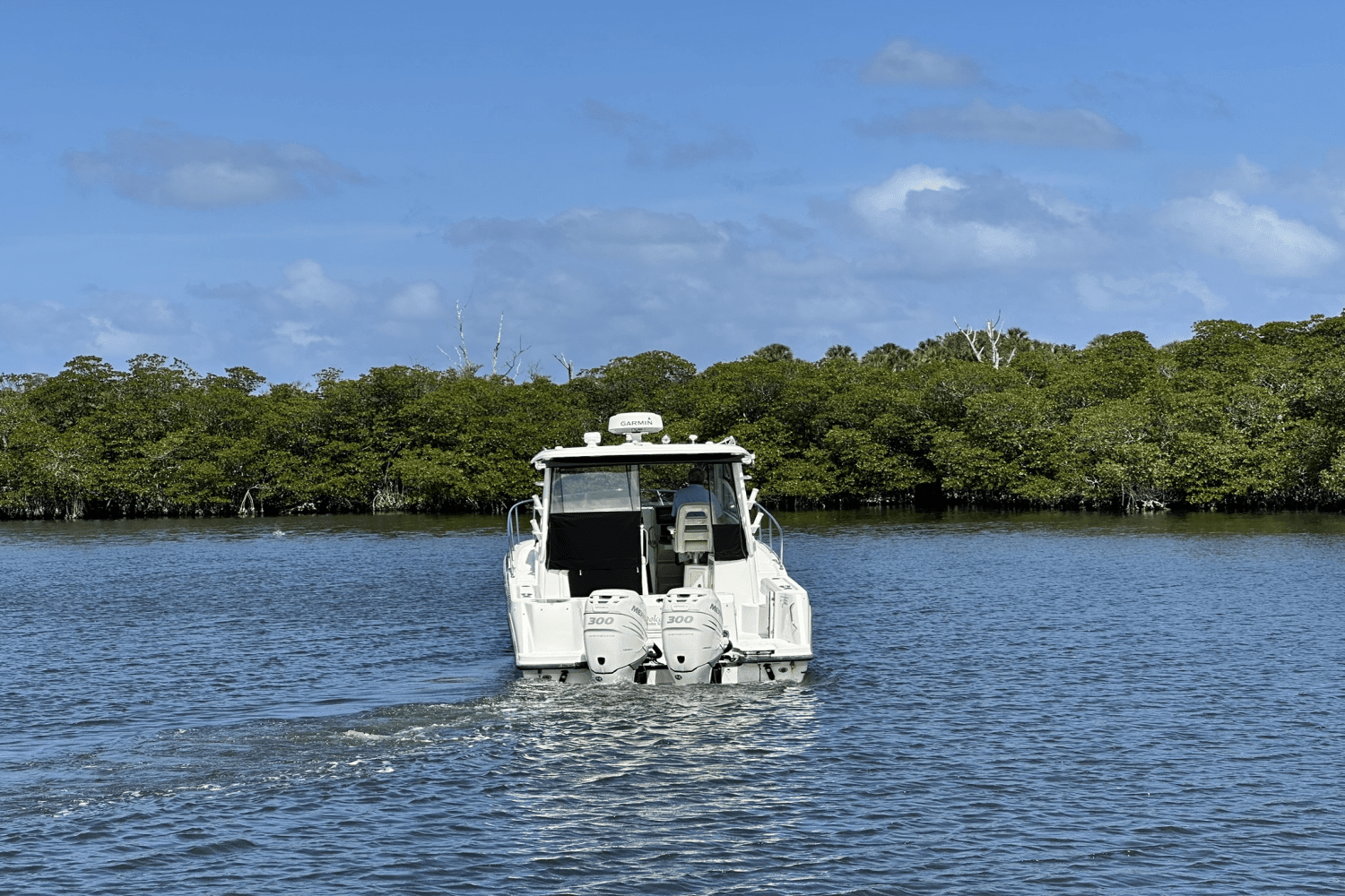 2015 Boston Whaler 315 CONQUEST Image Thumbnail #7
