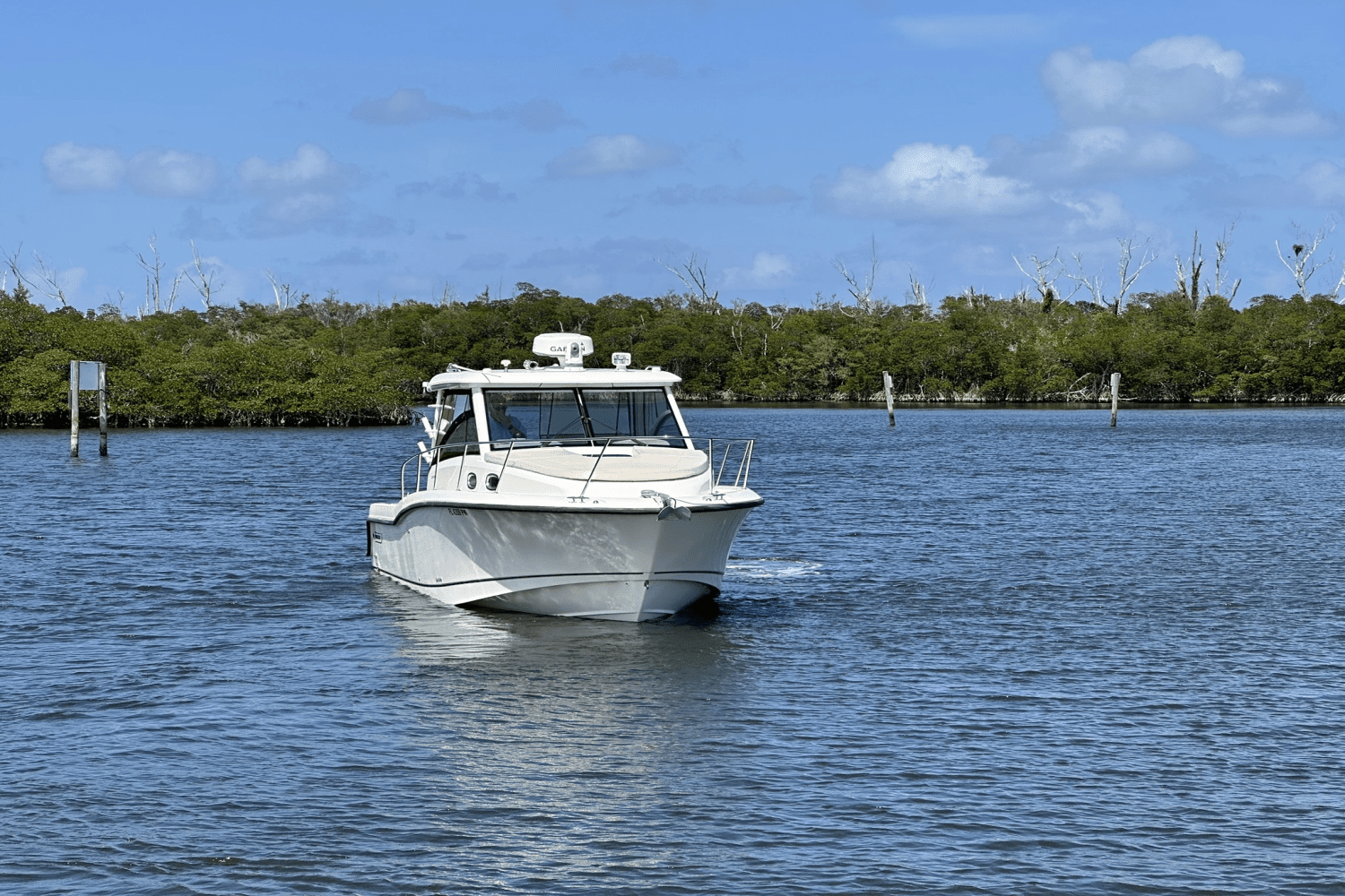 2015 Boston Whaler 315 CONQUEST Image Thumbnail #2
