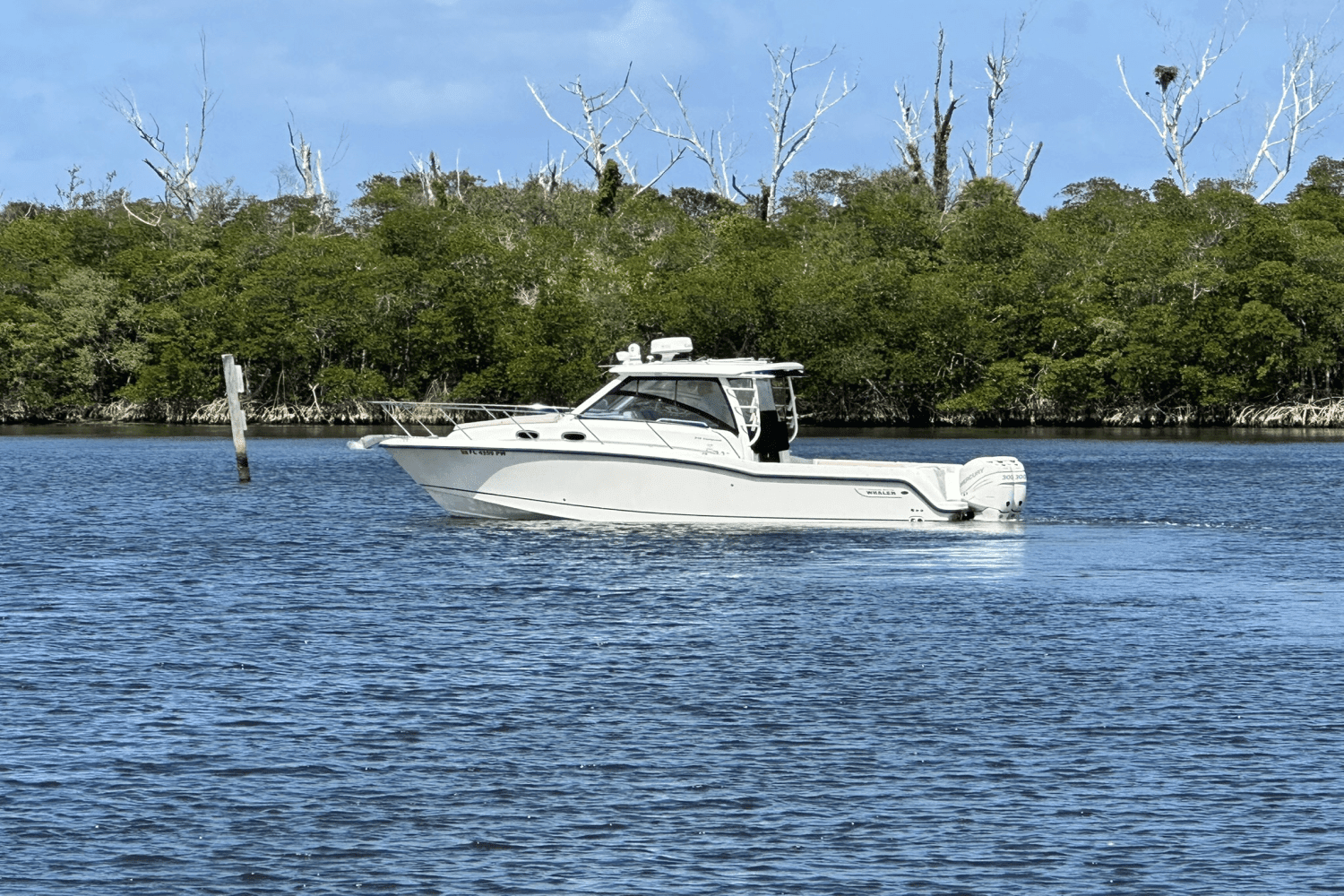 2015 Boston Whaler 315 CONQUEST Image Thumbnail #9