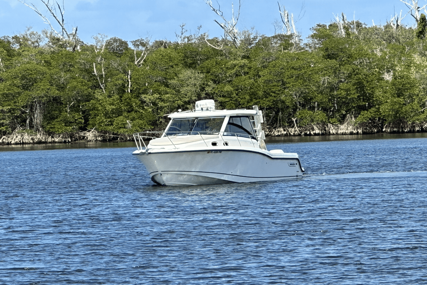2015 Boston Whaler 315 CONQUEST Image Thumbnail #10