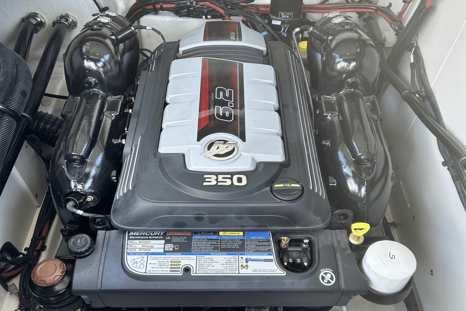 2023 Sea Ray 260 SLX Image Thumbnail #8