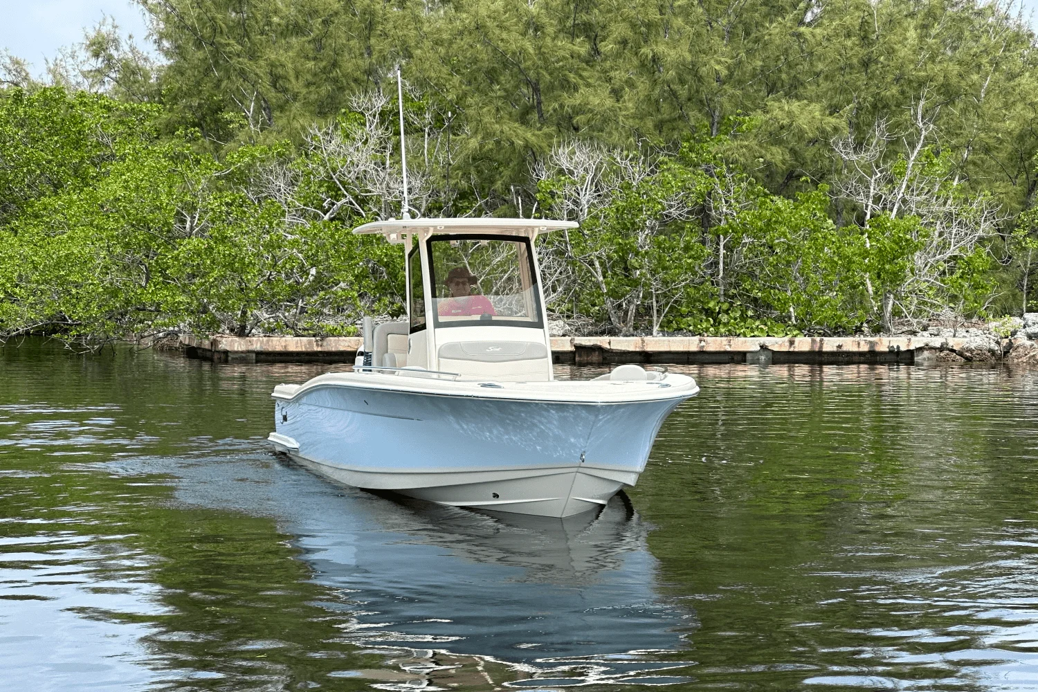 2026 Scout 240 XSF Image Thumbnail #3