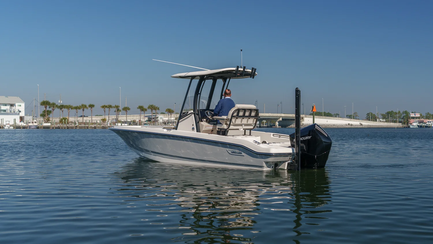 2026 Boston Whaler 220 Dauntless Image Thumbnail #1