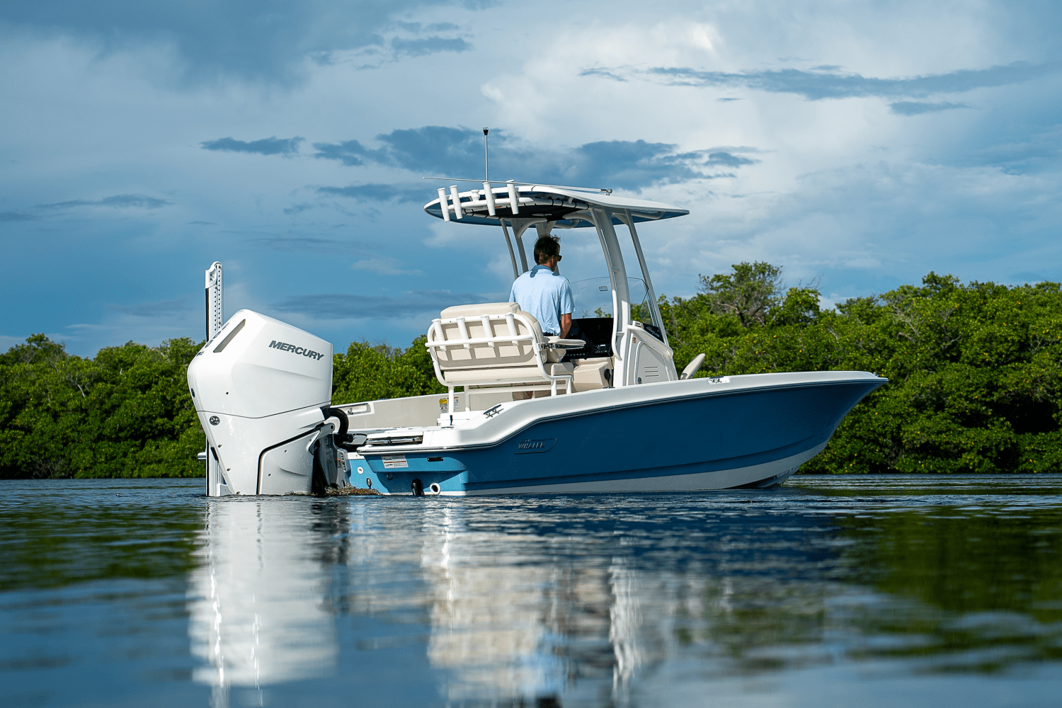 2026 Boston Whaler 250 Dauntless Image Thumbnail #36