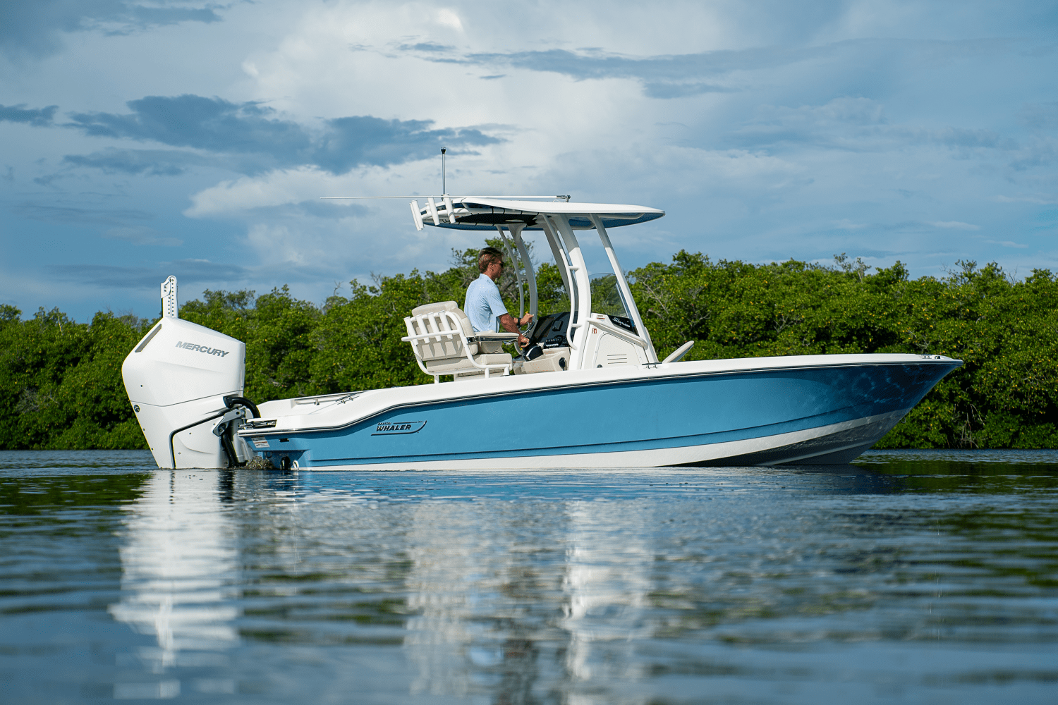 2026 Boston Whaler 250 Dauntless Image Thumbnail #20