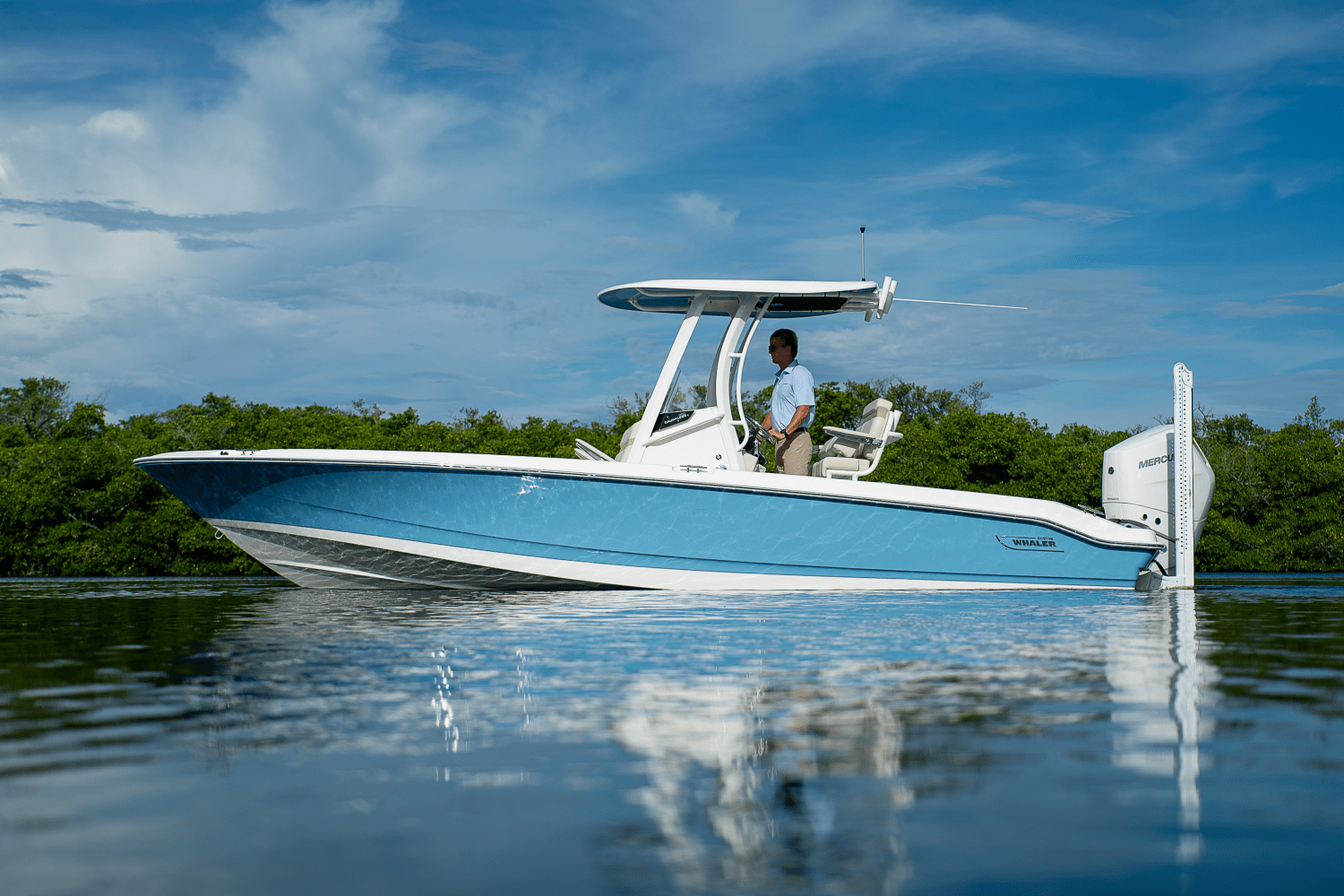 2026 Boston Whaler 250 Dauntless Image Thumbnail #30