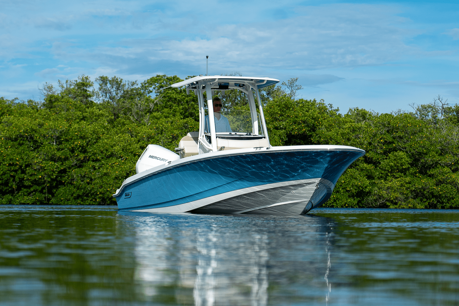 2026 Boston Whaler 250 Dauntless Image Thumbnail #25