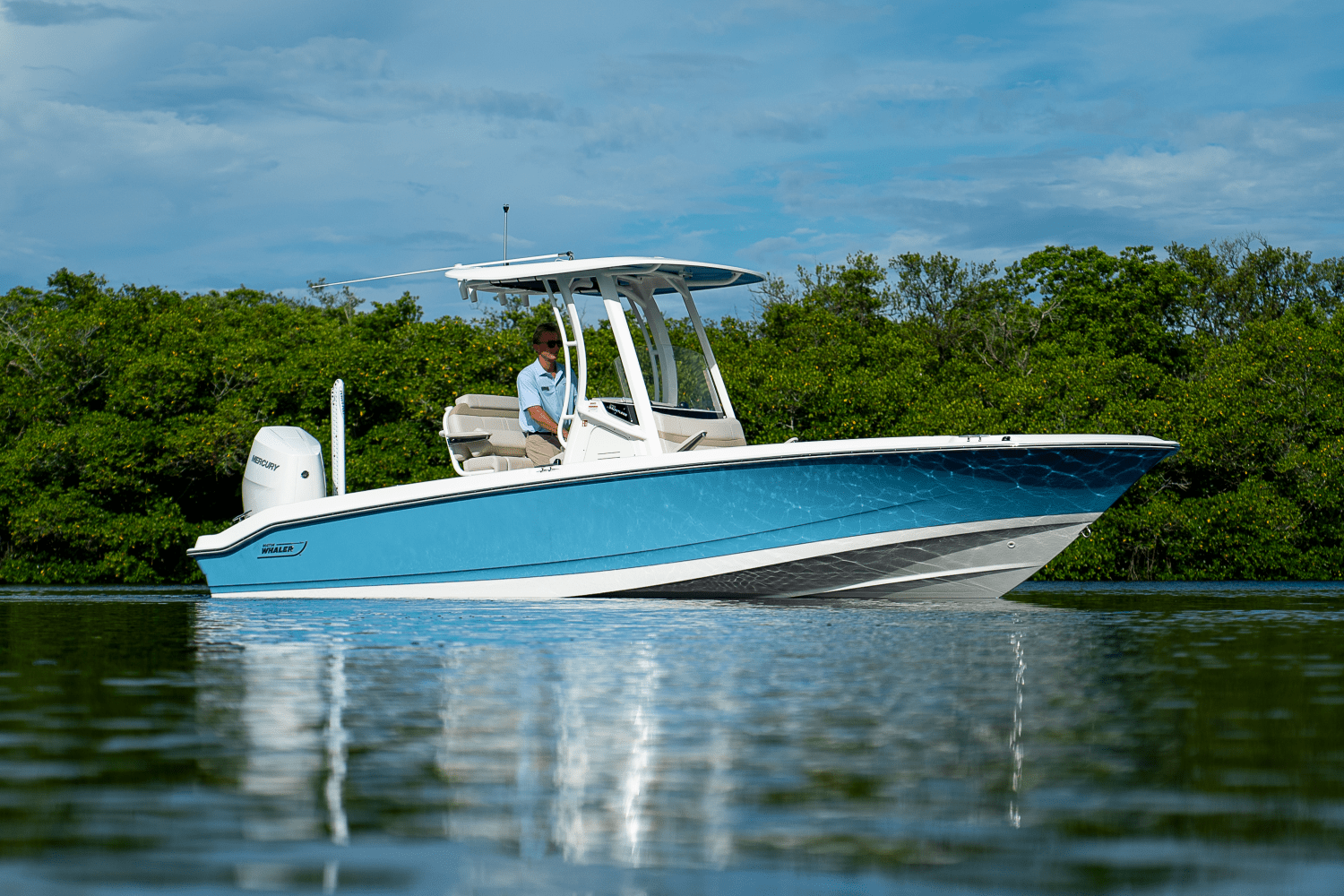 2026 Boston Whaler 250 Dauntless Image Thumbnail #22