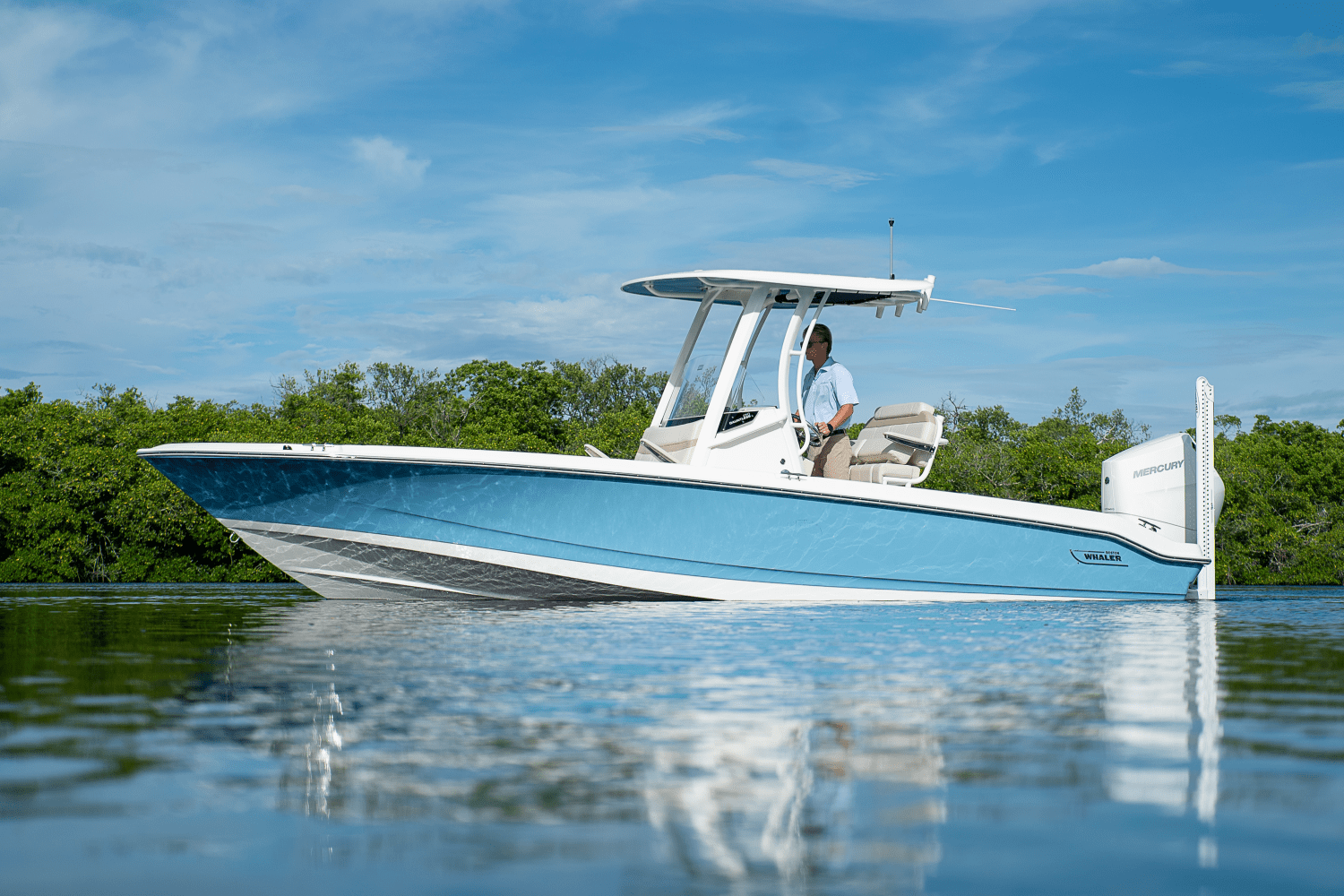 2026 Boston Whaler 250 Dauntless Image Thumbnail #29