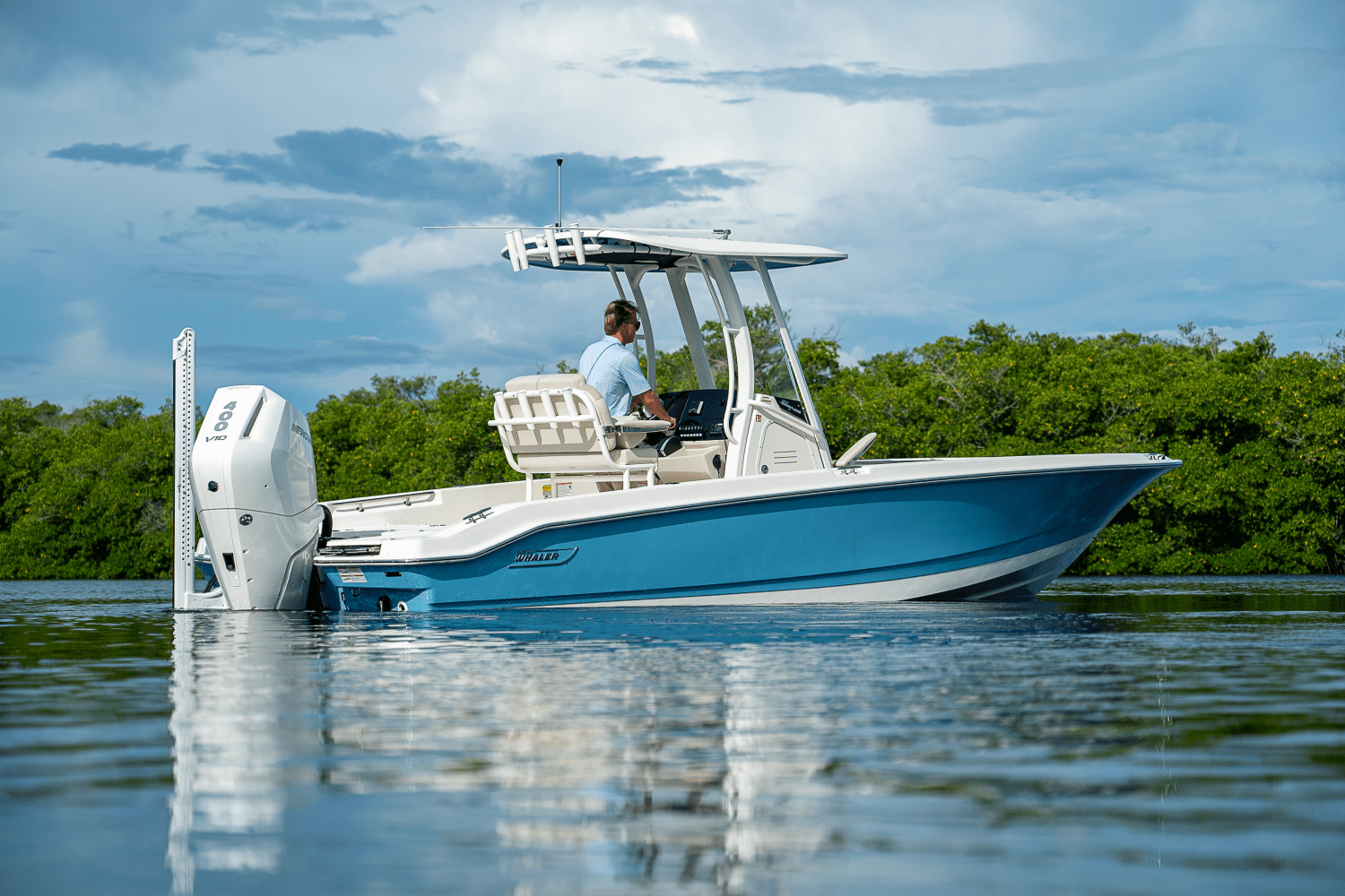 2026 Boston Whaler 250 Dauntless Image Thumbnail #19