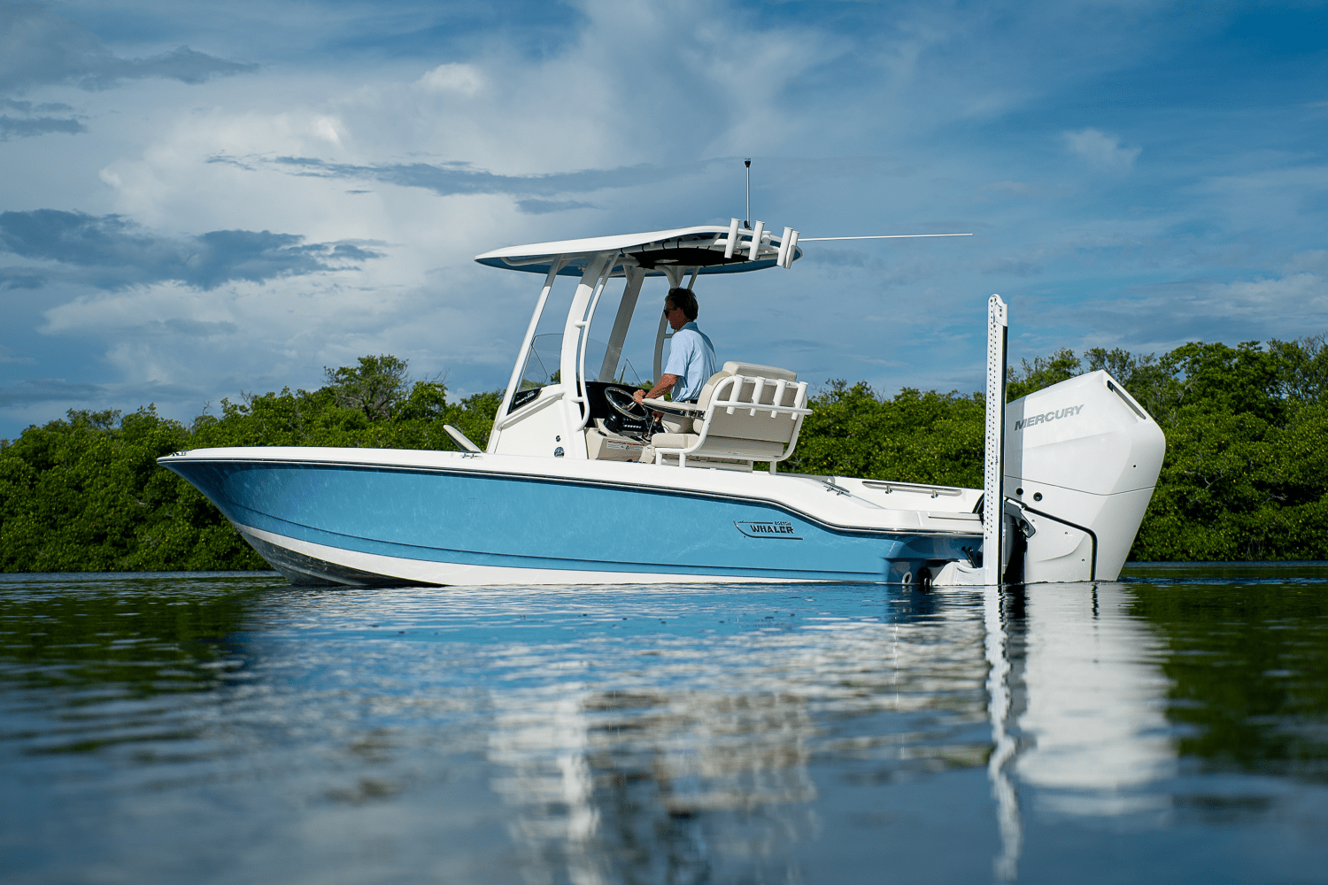 2026 Boston Whaler 250 Dauntless Image Thumbnail #1