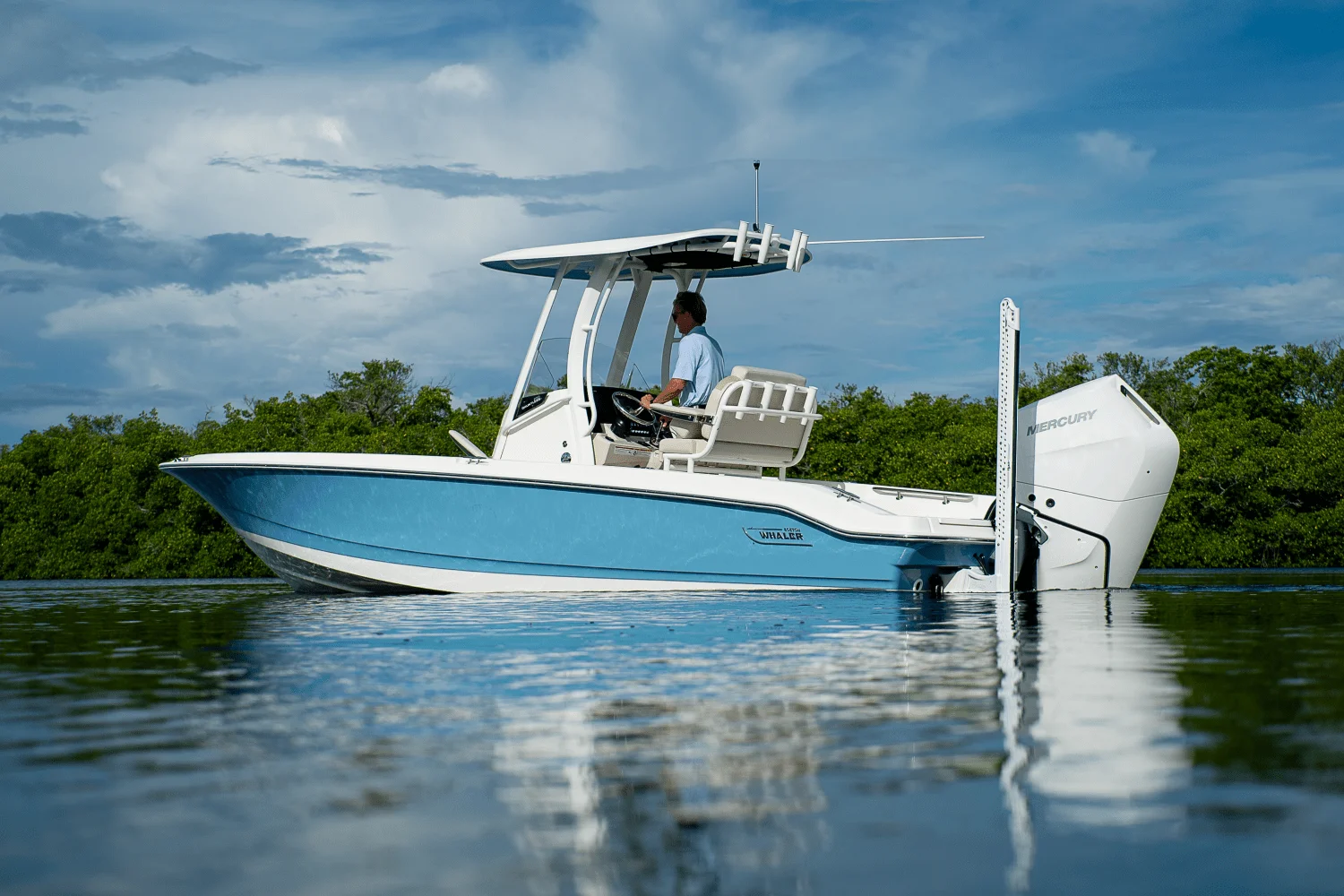 2026 Boston Whaler 250 Dauntless Image Thumbnail #1