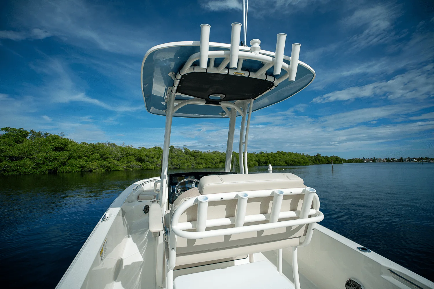 2026 Boston Whaler 250 Dauntless Image Thumbnail #5