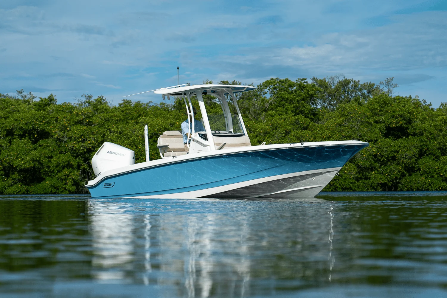 2026 Boston Whaler 250 Dauntless Image Thumbnail #23